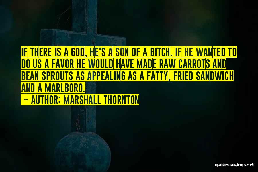 Marshall Thornton Quotes: If There Is A God, He's A Son Of A Bitch. If He Wanted To Do Us A Favor He