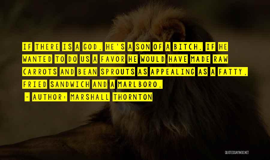 Marshall Thornton Quotes: If There Is A God, He's A Son Of A Bitch. If He Wanted To Do Us A Favor He