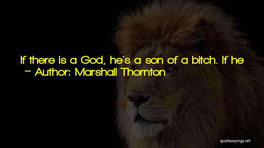Marshall Thornton Quotes: If There Is A God, He's A Son Of A Bitch. If He Wanted To Do Us A Favor He