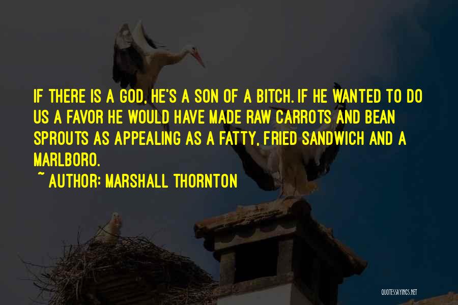 Marshall Thornton Quotes: If There Is A God, He's A Son Of A Bitch. If He Wanted To Do Us A Favor He