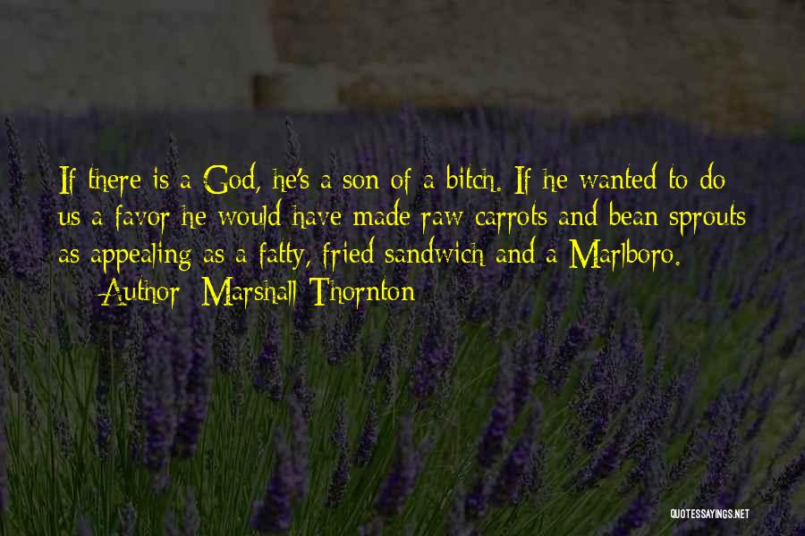 Marshall Thornton Quotes: If There Is A God, He's A Son Of A Bitch. If He Wanted To Do Us A Favor He