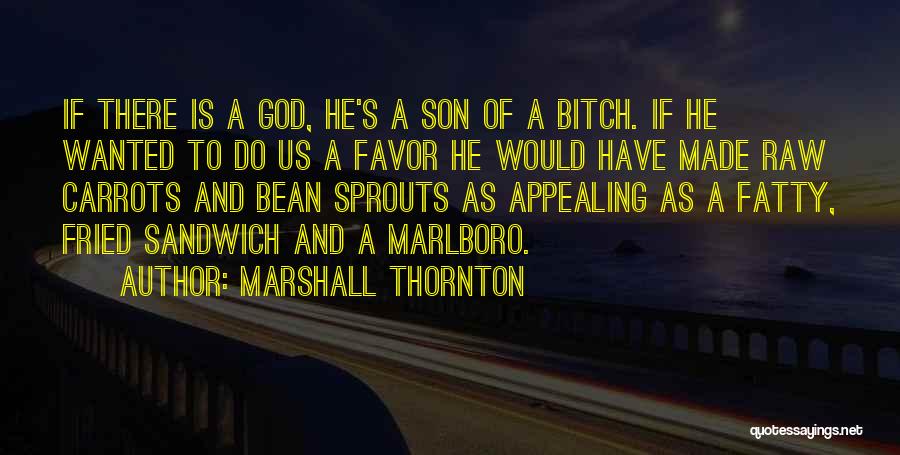 Marshall Thornton Quotes: If There Is A God, He's A Son Of A Bitch. If He Wanted To Do Us A Favor He