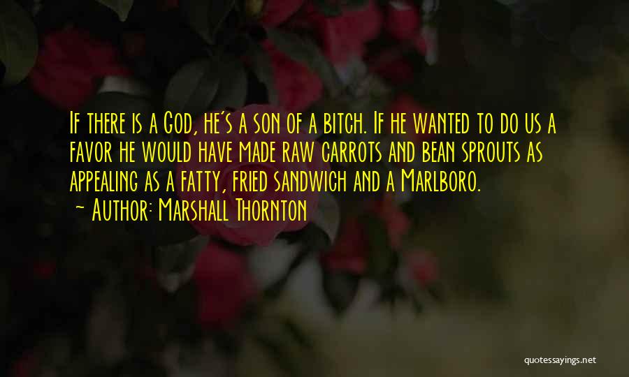 Marshall Thornton Quotes: If There Is A God, He's A Son Of A Bitch. If He Wanted To Do Us A Favor He