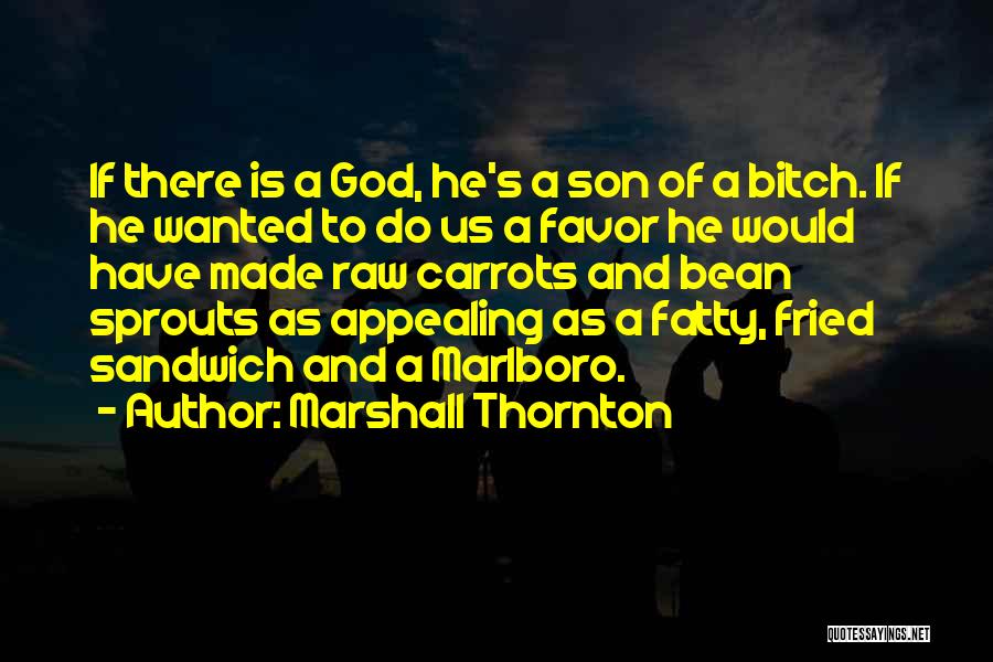 Marshall Thornton Quotes: If There Is A God, He's A Son Of A Bitch. If He Wanted To Do Us A Favor He