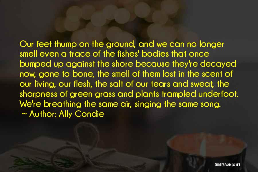 Ally Condie Quotes: Our Feet Thump On The Ground, And We Can No Longer Smell Even A Trace Of The Fishes' Bodies That