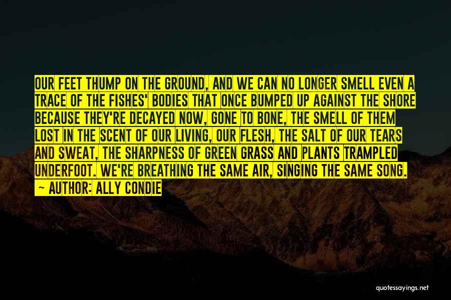 Ally Condie Quotes: Our Feet Thump On The Ground, And We Can No Longer Smell Even A Trace Of The Fishes' Bodies That