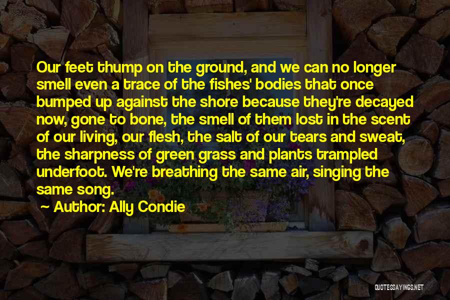 Ally Condie Quotes: Our Feet Thump On The Ground, And We Can No Longer Smell Even A Trace Of The Fishes' Bodies That