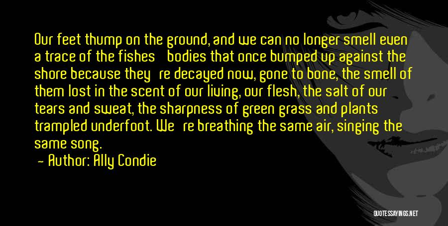Ally Condie Quotes: Our Feet Thump On The Ground, And We Can No Longer Smell Even A Trace Of The Fishes' Bodies That