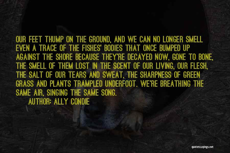 Ally Condie Quotes: Our Feet Thump On The Ground, And We Can No Longer Smell Even A Trace Of The Fishes' Bodies That