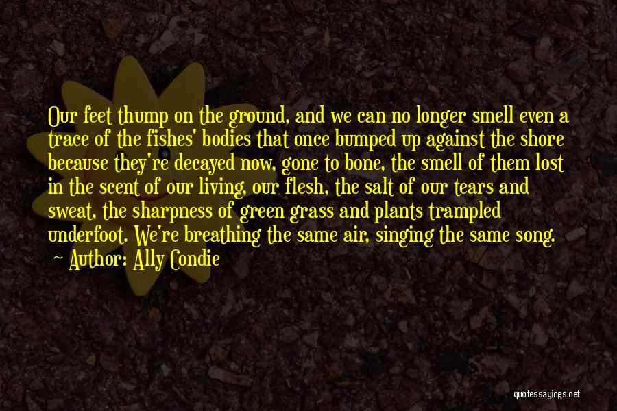 Ally Condie Quotes: Our Feet Thump On The Ground, And We Can No Longer Smell Even A Trace Of The Fishes' Bodies That