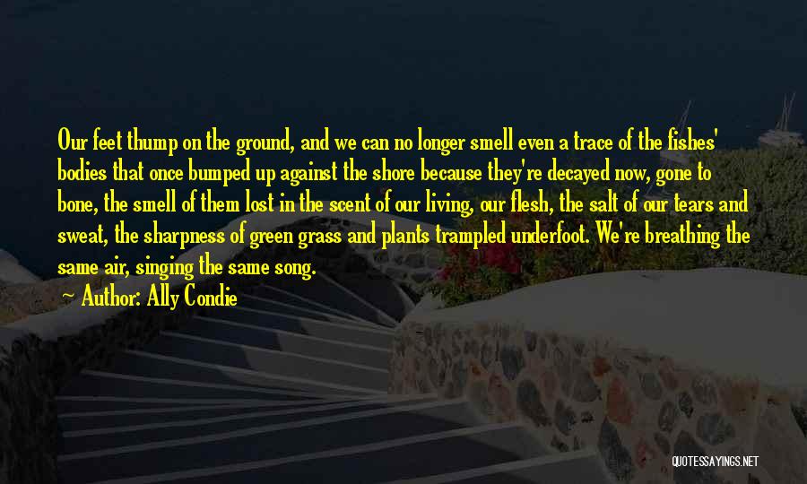 Ally Condie Quotes: Our Feet Thump On The Ground, And We Can No Longer Smell Even A Trace Of The Fishes' Bodies That