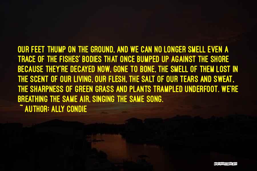 Ally Condie Quotes: Our Feet Thump On The Ground, And We Can No Longer Smell Even A Trace Of The Fishes' Bodies That