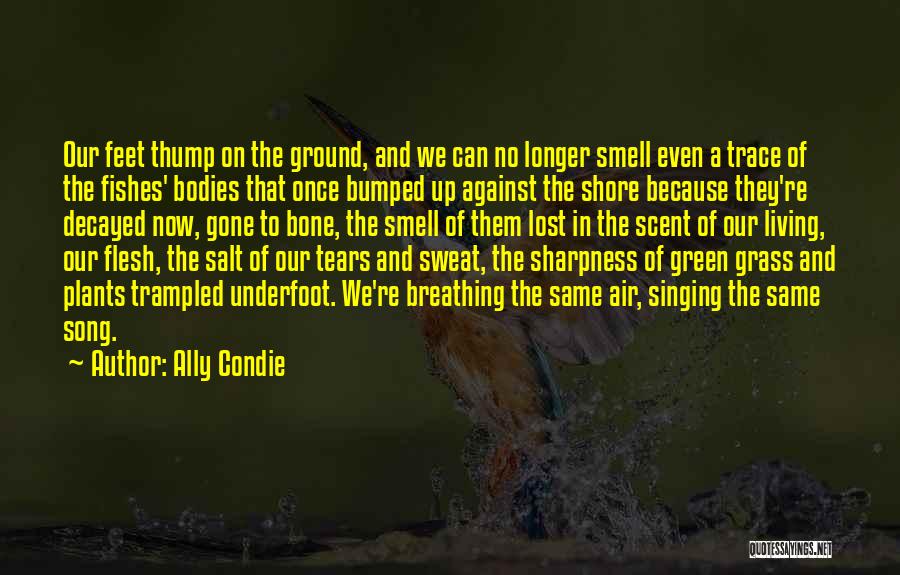 Ally Condie Quotes: Our Feet Thump On The Ground, And We Can No Longer Smell Even A Trace Of The Fishes' Bodies That