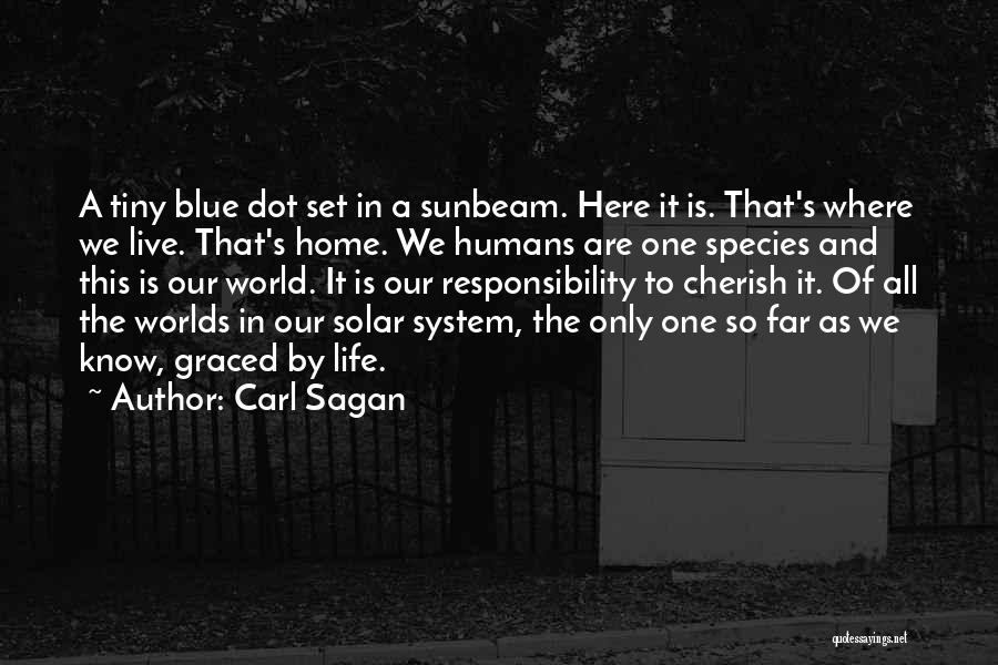 Carl Sagan Quotes: A Tiny Blue Dot Set In A Sunbeam. Here It Is. That's Where We Live. That's Home. We Humans Are
