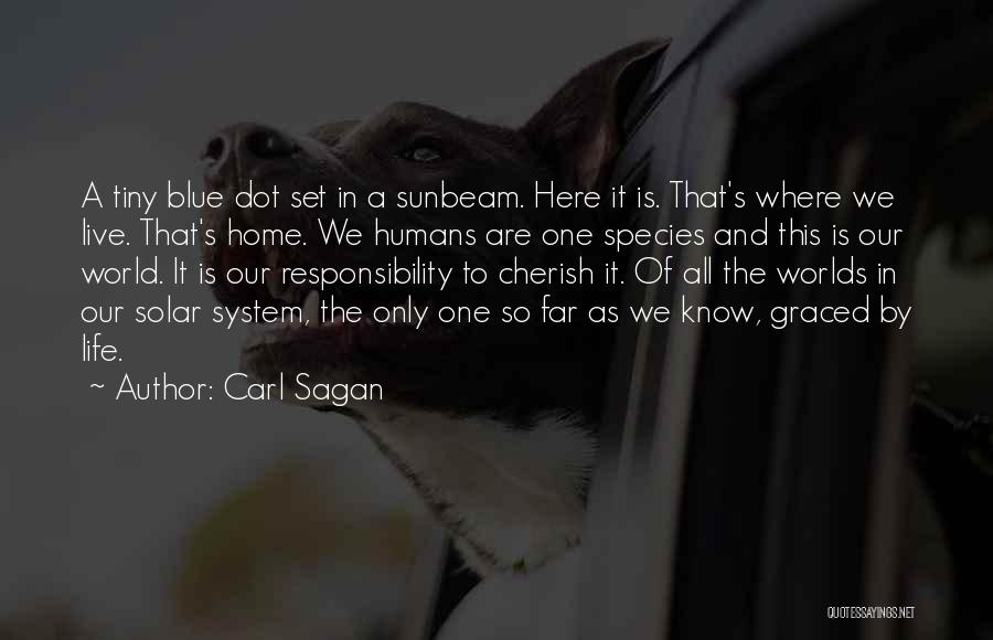 Carl Sagan Quotes: A Tiny Blue Dot Set In A Sunbeam. Here It Is. That's Where We Live. That's Home. We Humans Are