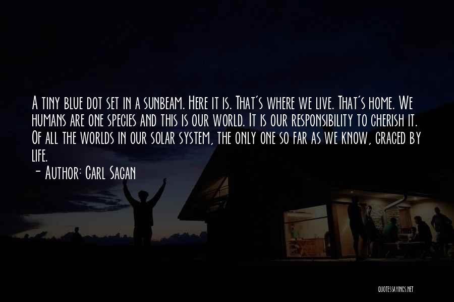 Carl Sagan Quotes: A Tiny Blue Dot Set In A Sunbeam. Here It Is. That's Where We Live. That's Home. We Humans Are
