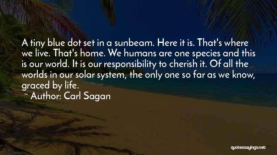 Carl Sagan Quotes: A Tiny Blue Dot Set In A Sunbeam. Here It Is. That's Where We Live. That's Home. We Humans Are