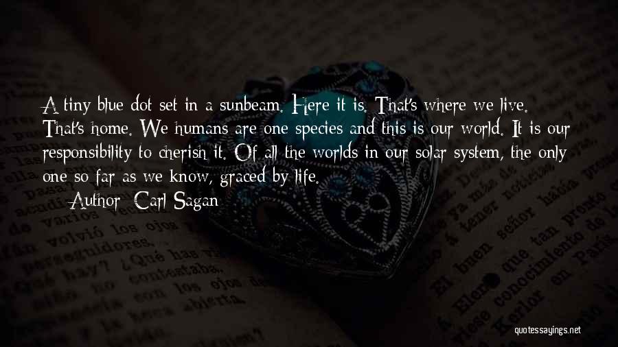 Carl Sagan Quotes: A Tiny Blue Dot Set In A Sunbeam. Here It Is. That's Where We Live. That's Home. We Humans Are
