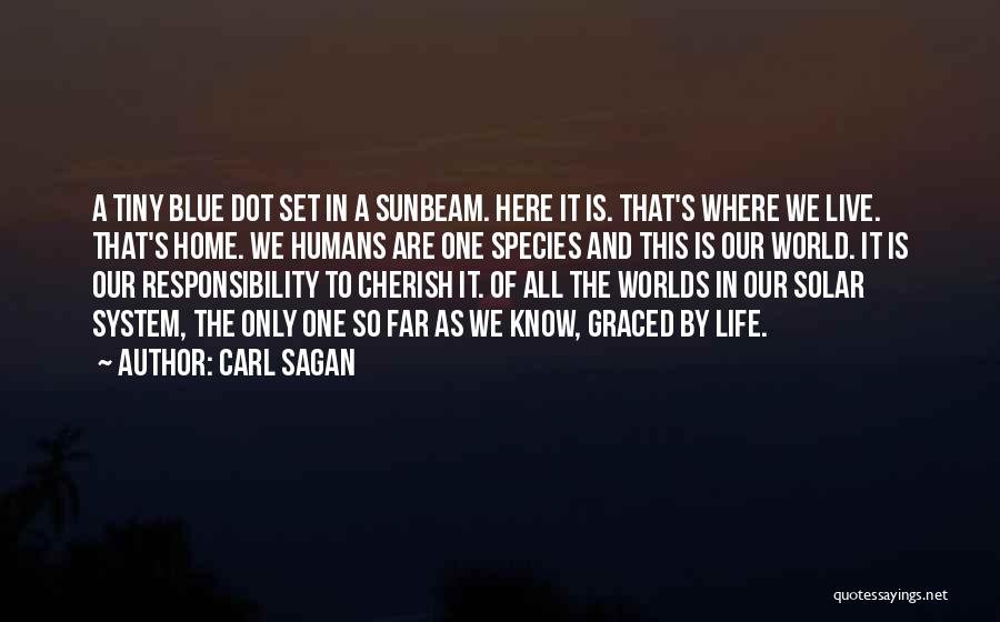 Carl Sagan Quotes: A Tiny Blue Dot Set In A Sunbeam. Here It Is. That's Where We Live. That's Home. We Humans Are