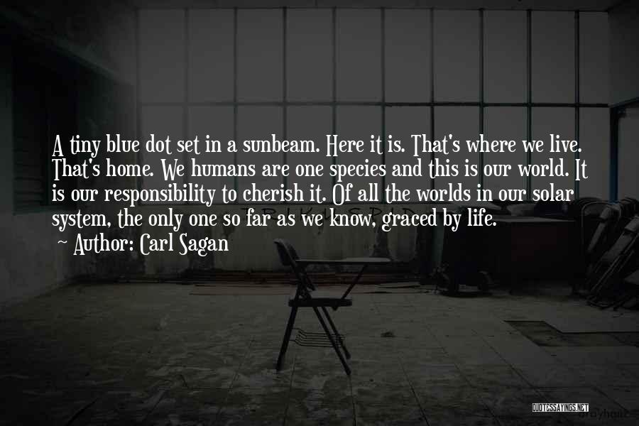 Carl Sagan Quotes: A Tiny Blue Dot Set In A Sunbeam. Here It Is. That's Where We Live. That's Home. We Humans Are
