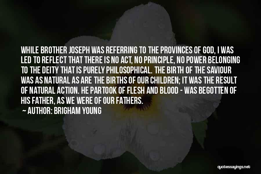 Brigham Young Quotes: While Brother Joseph Was Referring To The Provinces Of God, I Was Led To Reflect That There Is No Act,