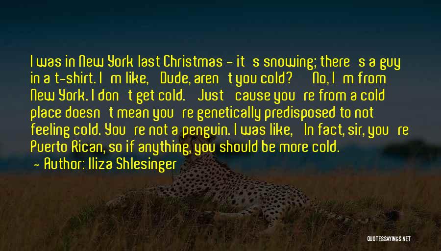 Iliza Shlesinger Quotes: I Was In New York Last Christmas - It's Snowing; There's A Guy In A T-shirt. I'm Like, 'dude, Aren't