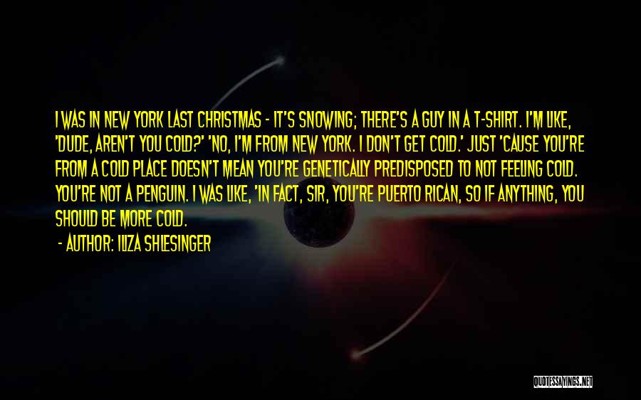 Iliza Shlesinger Quotes: I Was In New York Last Christmas - It's Snowing; There's A Guy In A T-shirt. I'm Like, 'dude, Aren't