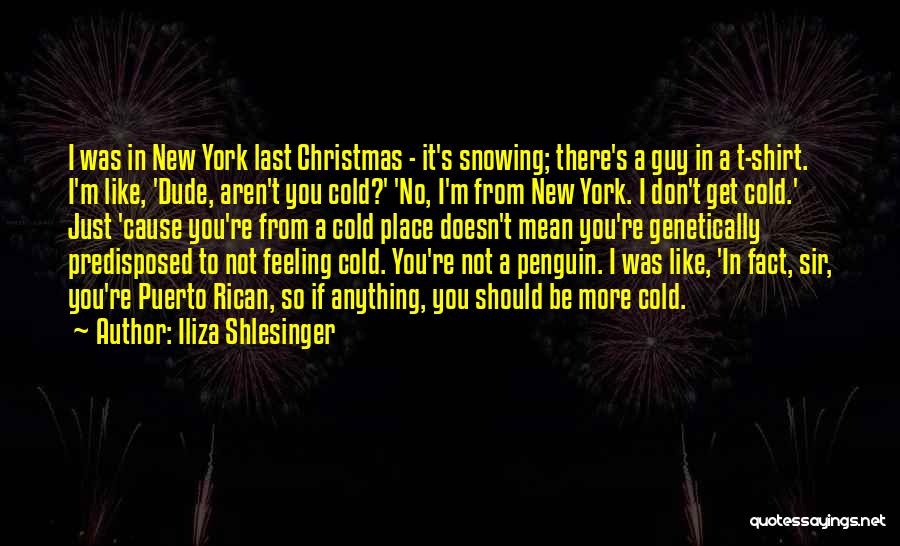 Iliza Shlesinger Quotes: I Was In New York Last Christmas - It's Snowing; There's A Guy In A T-shirt. I'm Like, 'dude, Aren't