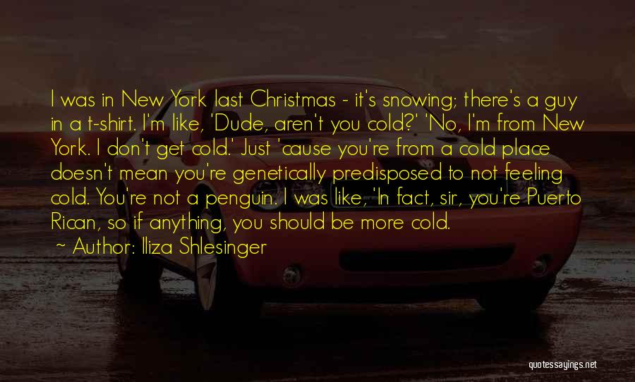 Iliza Shlesinger Quotes: I Was In New York Last Christmas - It's Snowing; There's A Guy In A T-shirt. I'm Like, 'dude, Aren't