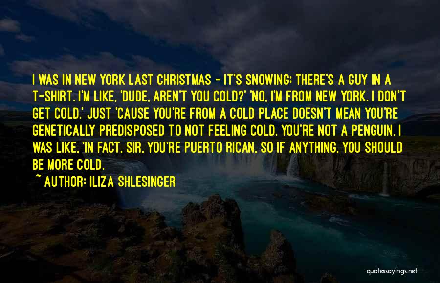 Iliza Shlesinger Quotes: I Was In New York Last Christmas - It's Snowing; There's A Guy In A T-shirt. I'm Like, 'dude, Aren't