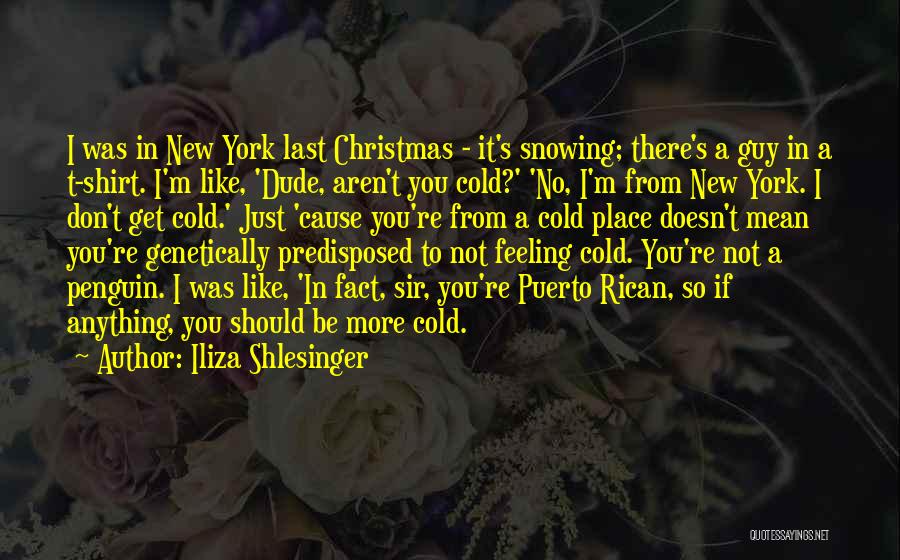 Iliza Shlesinger Quotes: I Was In New York Last Christmas - It's Snowing; There's A Guy In A T-shirt. I'm Like, 'dude, Aren't