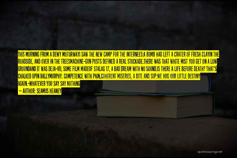 Seamus Heaney Quotes: This Morning From A Dewy Motorwayi Saw The New Camp For The Internees:a Bomb Had Left A Crater Of Fresh