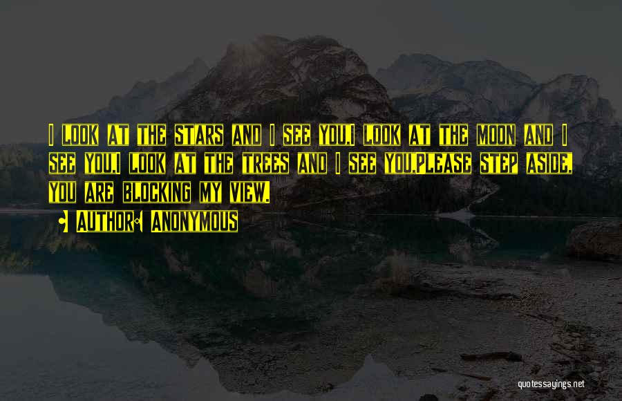 Anonymous Quotes: I Look At The Stars And I See You,i Look At The Moon And I See You,i Look At The