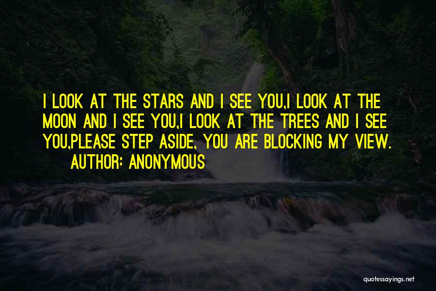 Anonymous Quotes: I Look At The Stars And I See You,i Look At The Moon And I See You,i Look At The