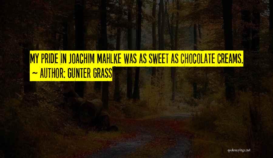 Gunter Grass Quotes: My Pride In Joachim Mahlke Was As Sweet As Chocolate Creams.