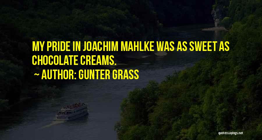 Gunter Grass Quotes: My Pride In Joachim Mahlke Was As Sweet As Chocolate Creams.