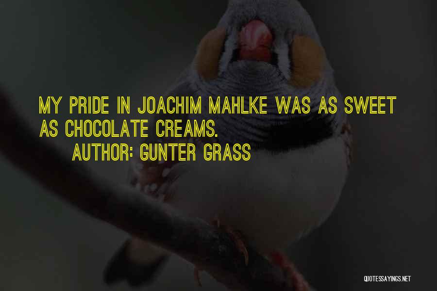 Gunter Grass Quotes: My Pride In Joachim Mahlke Was As Sweet As Chocolate Creams.