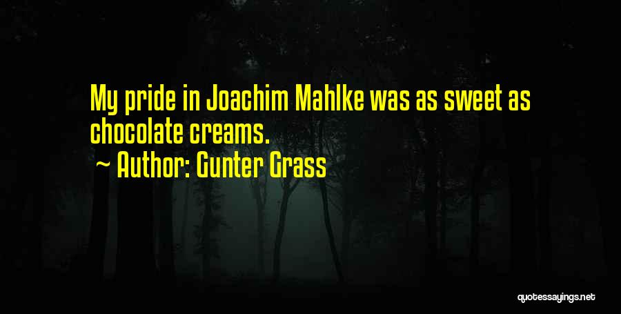 Gunter Grass Quotes: My Pride In Joachim Mahlke Was As Sweet As Chocolate Creams.