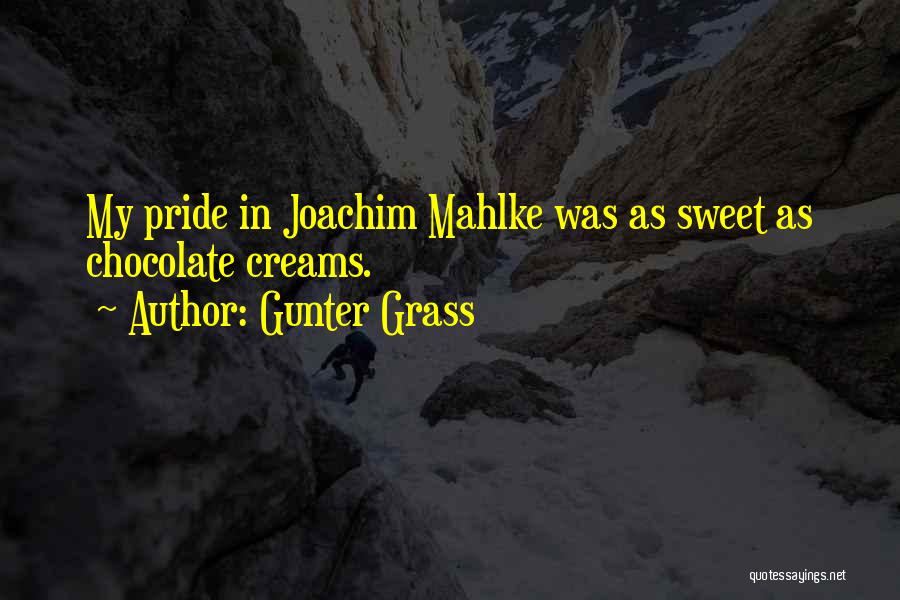 Gunter Grass Quotes: My Pride In Joachim Mahlke Was As Sweet As Chocolate Creams.