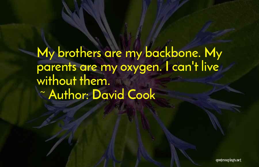 David Cook Quotes: My Brothers Are My Backbone. My Parents Are My Oxygen. I Can't Live Without Them.