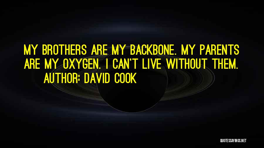 David Cook Quotes: My Brothers Are My Backbone. My Parents Are My Oxygen. I Can't Live Without Them.