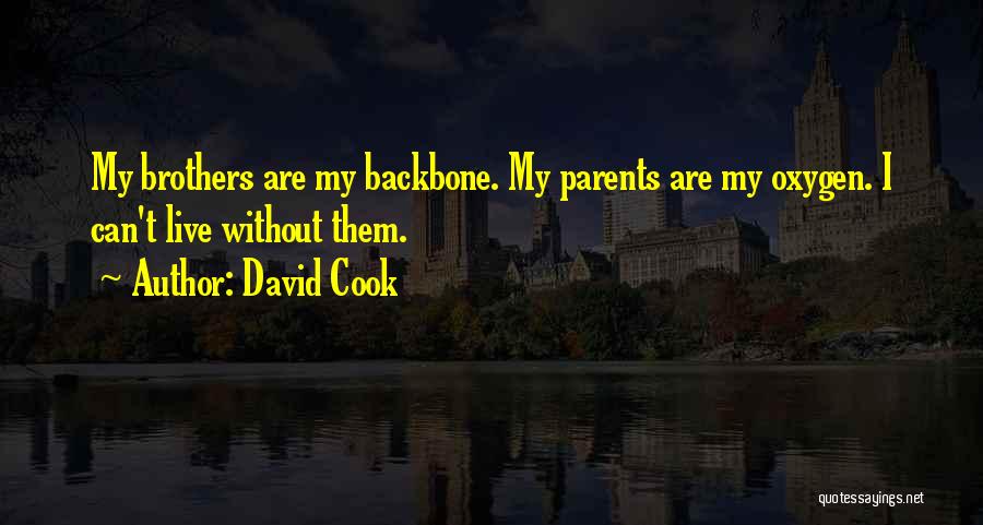 David Cook Quotes: My Brothers Are My Backbone. My Parents Are My Oxygen. I Can't Live Without Them.