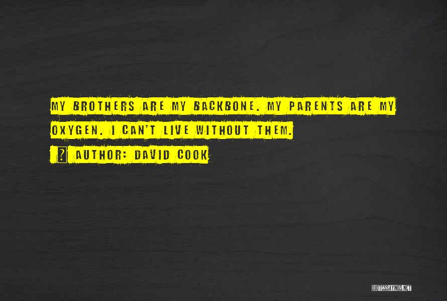 David Cook Quotes: My Brothers Are My Backbone. My Parents Are My Oxygen. I Can't Live Without Them.