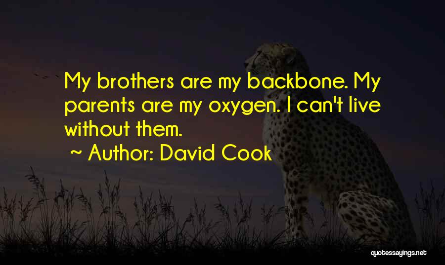 David Cook Quotes: My Brothers Are My Backbone. My Parents Are My Oxygen. I Can't Live Without Them.