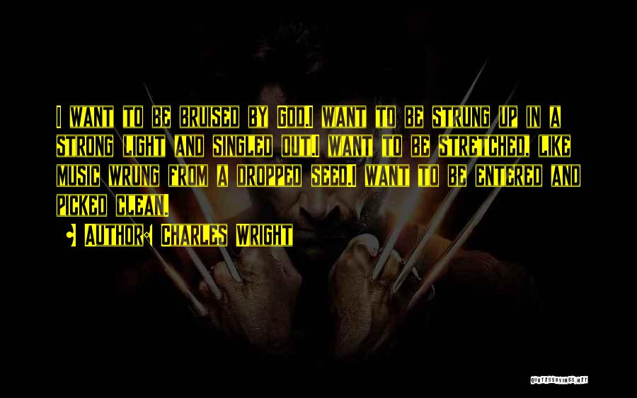 Charles Wright Quotes: I Want To Be Bruised By God.i Want To Be Strung Up In A Strong Light And Singled Out.i Want
