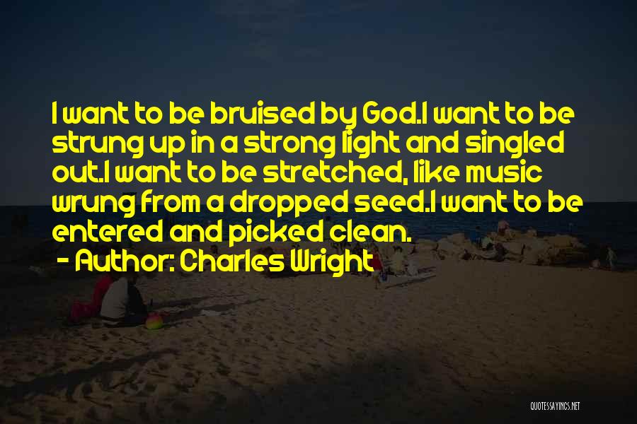 Charles Wright Quotes: I Want To Be Bruised By God.i Want To Be Strung Up In A Strong Light And Singled Out.i Want