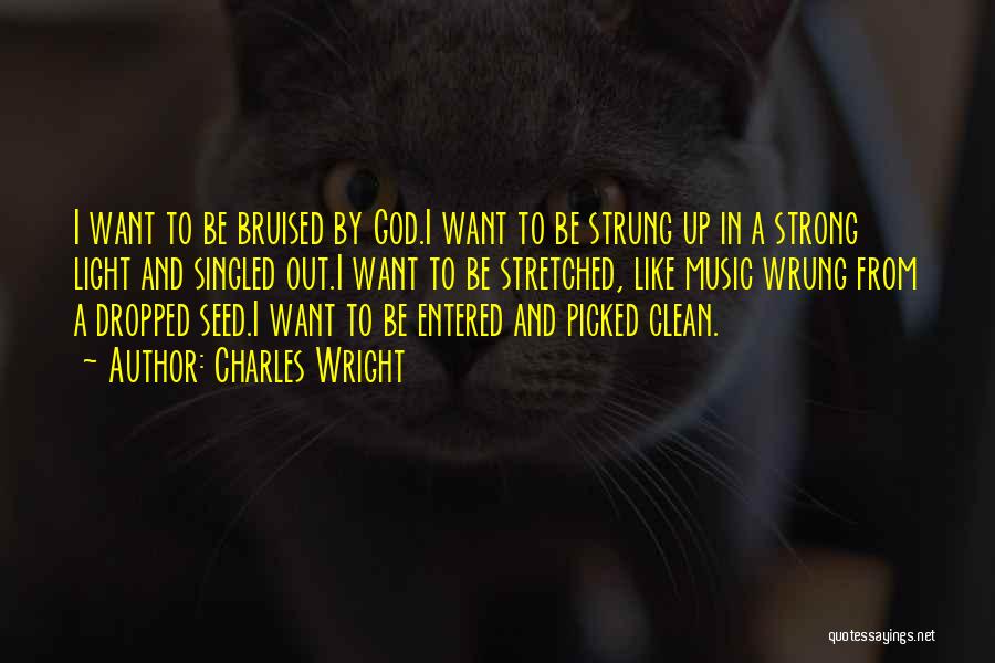 Charles Wright Quotes: I Want To Be Bruised By God.i Want To Be Strung Up In A Strong Light And Singled Out.i Want