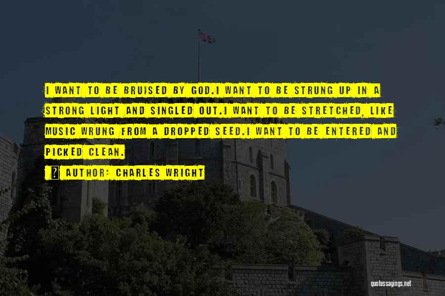 Charles Wright Quotes: I Want To Be Bruised By God.i Want To Be Strung Up In A Strong Light And Singled Out.i Want