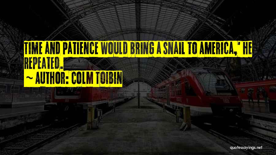 Colm Toibin Quotes: Time And Patience Would Bring A Snail To America,' He Repeated.