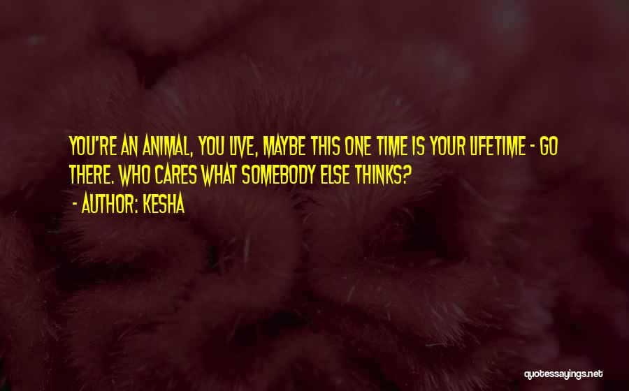 Kesha Quotes: You're An Animal, You Live, Maybe This One Time Is Your Lifetime - Go There. Who Cares What Somebody Else